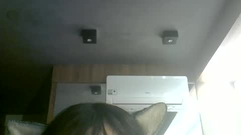 skinnykittencam online show from 7, 7, 2026