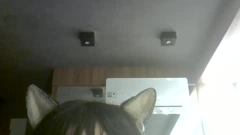skinnykittencam online show from 10, 7, 2026