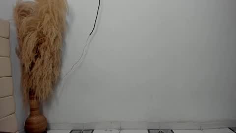 Snapshot of sky_dancer chatting on 17, 12, 2025 Reuben online show from 17, 12, 2025