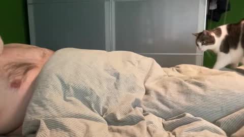 slice5 online show from 4, 4, 2026