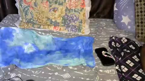 Snapshot of slim_me chatting on 7, 5, 2026 slim_me online show from 7, 5, 2026