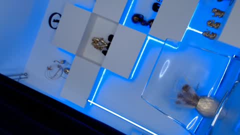 Ariana online show from 10, 1, 2025