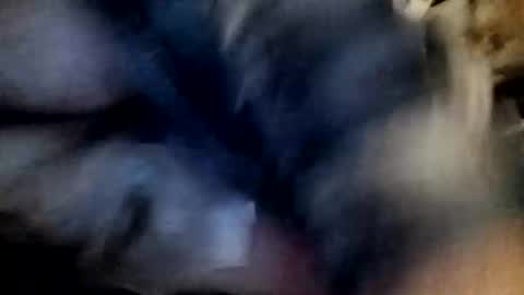 slutbreeze101 online show from 23, 2, 2026