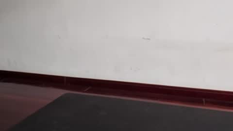 slutfactor online show from 31, 3, 2026