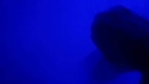 Snapshot of sluttyslut123797367 chatting on 28, 6, 2026 Nastyguurl online show from 28, 6, 2026