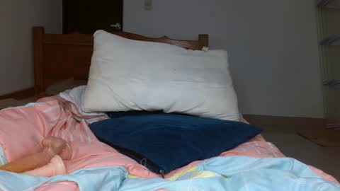 brenda online show from 20, 10, 2025