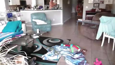 Daddy online show from 27, 3, 2026