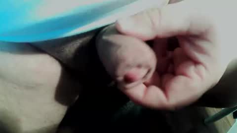 Small Pekka online show from 11, 2, 2026