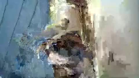 smiley_berry online show from 30, 9, 2025