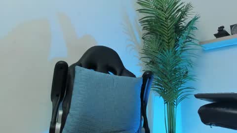 SMIT  online show from 7, 12, 2024