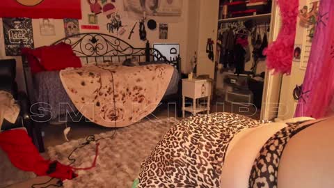 Snapshot of smokihippi chatting on 27, 12, 2024 Big Dawg online show from 27, 12, 2024