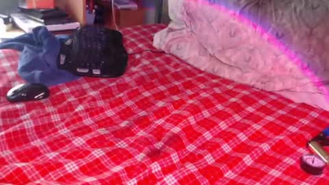 Snail online show from 17, 2, 2026