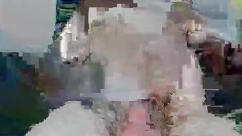 snakey boy online show from 26, 11, 2025