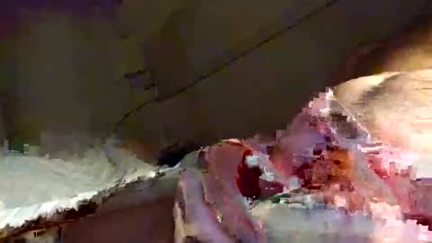 Snooty online show from 16, 1, 2025