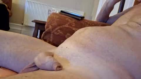 Snooty online show from 1, 3, 2025