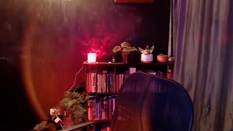 Snapshot of snow_flowers chatting on 10, 1, 2026 Arwen online show from 10, 1, 2026