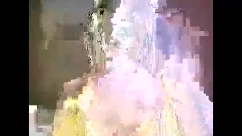 snowfox254 online show from 9, 10, 2025