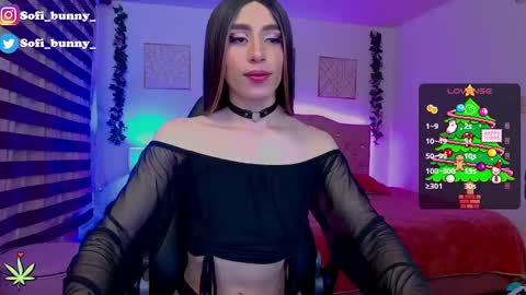 soffi_bunny_ online show from 22, 12, 2024