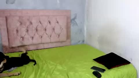 sofiadoll77 online show from 8, 2, 2025