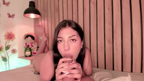 Snapshot of sofiesoft chatting on 12, 2, 2026 Sofie online show from 12, 2, 2026