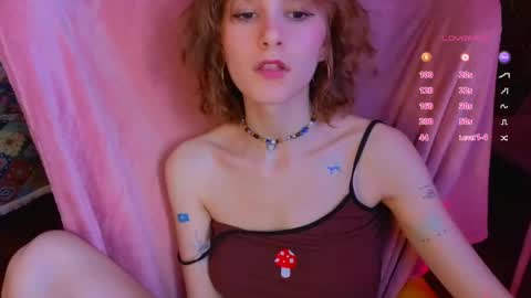 E online show from 17, 4, 2026