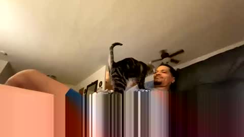 soharddr online show from 14, 10, 2025