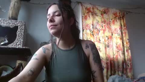 Sofia online show from 9, 11, 2025