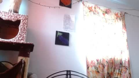 Sofia online show from 6, 1, 2026