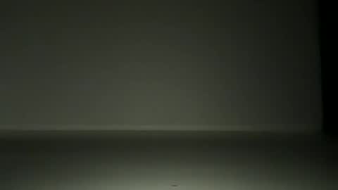 L4 online show from 12, 11, 2025