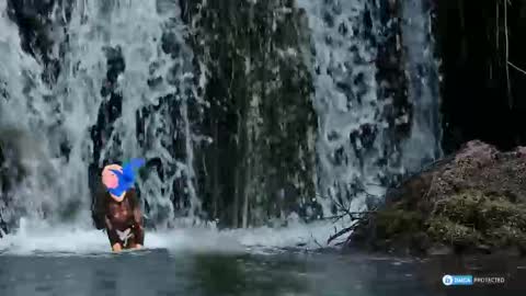 solisii online show from 1, 11, 2025