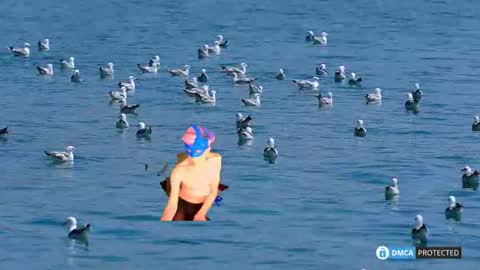 solisii online show from 5, 11, 2025