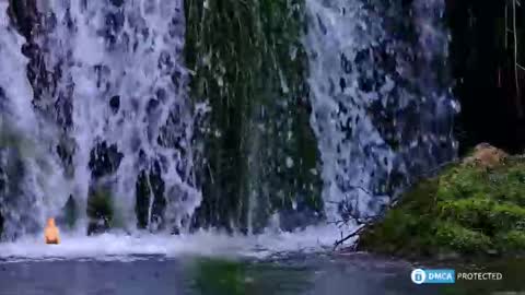 solisii online show from 8, 11, 2025