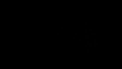 someonespeicial online show from 29, 9, 2025