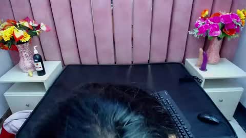 sophi_hardd online show from 13, 12, 2024