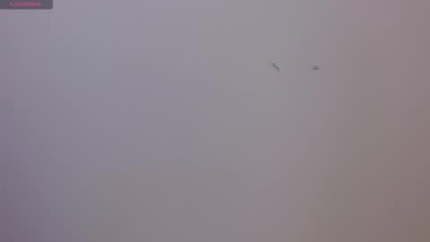 Snapshot of sophi_vi chatting on 17, 11, 2025 Sophie online show from 17, 11, 2025