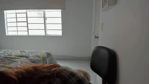 Sophia online show from 11, 2, 2025