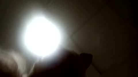 Candy   online show from 17, 9, 2025