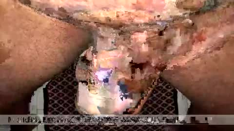 space Dog25 online show from 12, 1, 2026