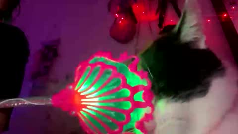 Spacegirl online show from 8, 11, 2025