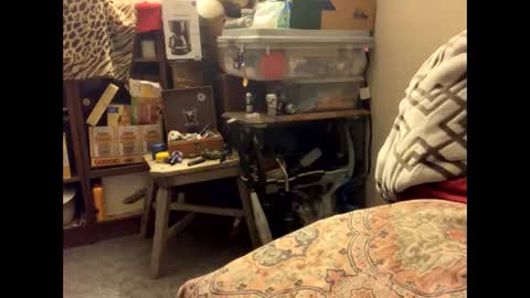 spermdoner23 online show from 10, 11, 2025