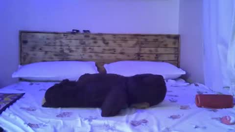 Splasher online show from 25, 10, 2025