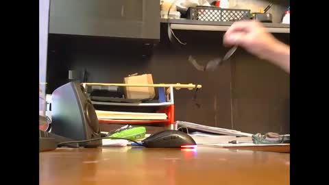 spoiler5 online show from 3, 12, 2025