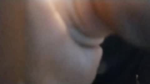 spraytec51500 online show from 18, 11, 2025