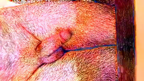 Snapshot of sprayx chatting on 8, 2, 2026 sprayx online show from 8, 2, 2026