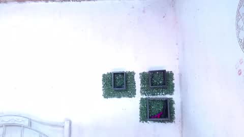 valeria online show from 25, 1, 2025