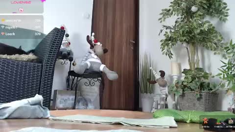 Monica online show from 21, 12, 2024