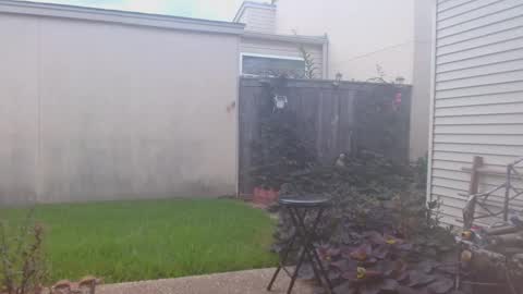 srtxshow online show from 23, 9, 2025