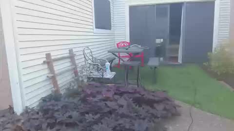 srtxshow online show from 20, 10, 2025