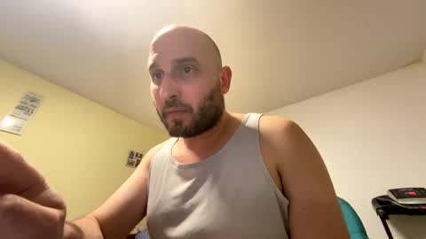 sta13 online show from 8, 2, 2026