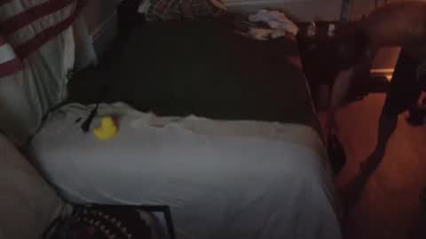 Snapshot of staloney21 chatting on 15, 2, 2026 staloney online show from 15, 2, 2026